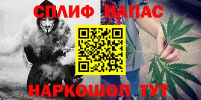 стафф Обь