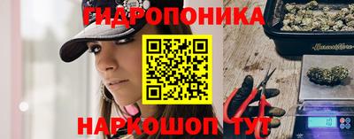 шишки Новозыбков